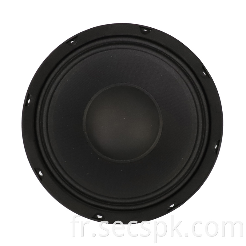 10inch High Quality Stage Speaker